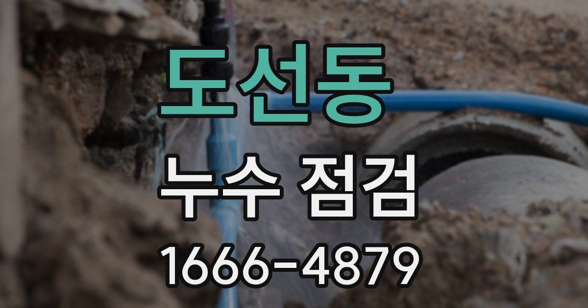 도선동 누수 점검