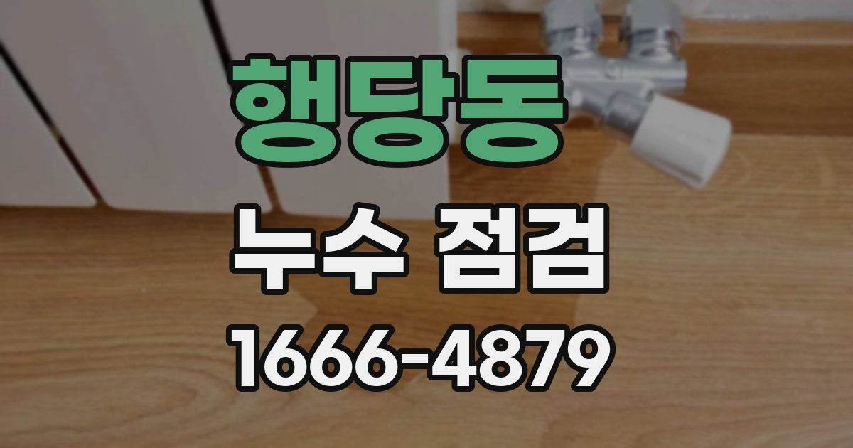 행당동 누수 점검