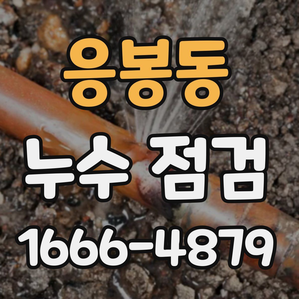 응봉동 누수 점검