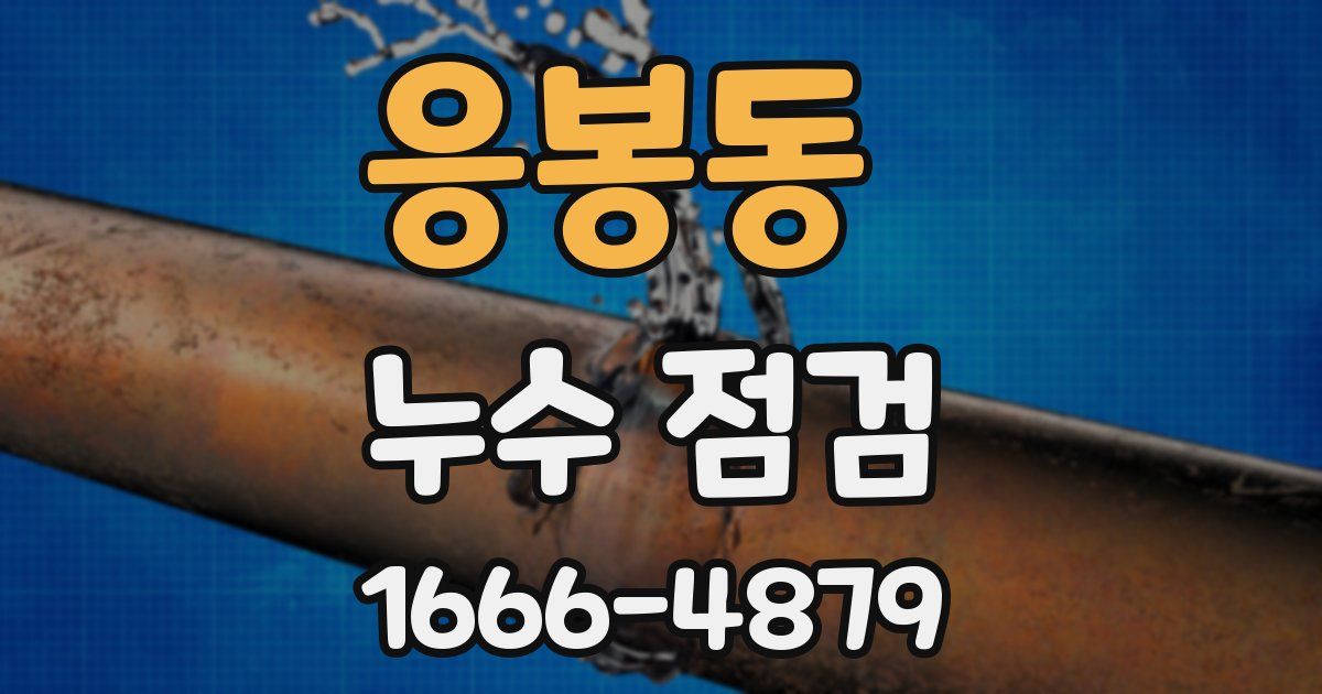 응봉동 누수 점검