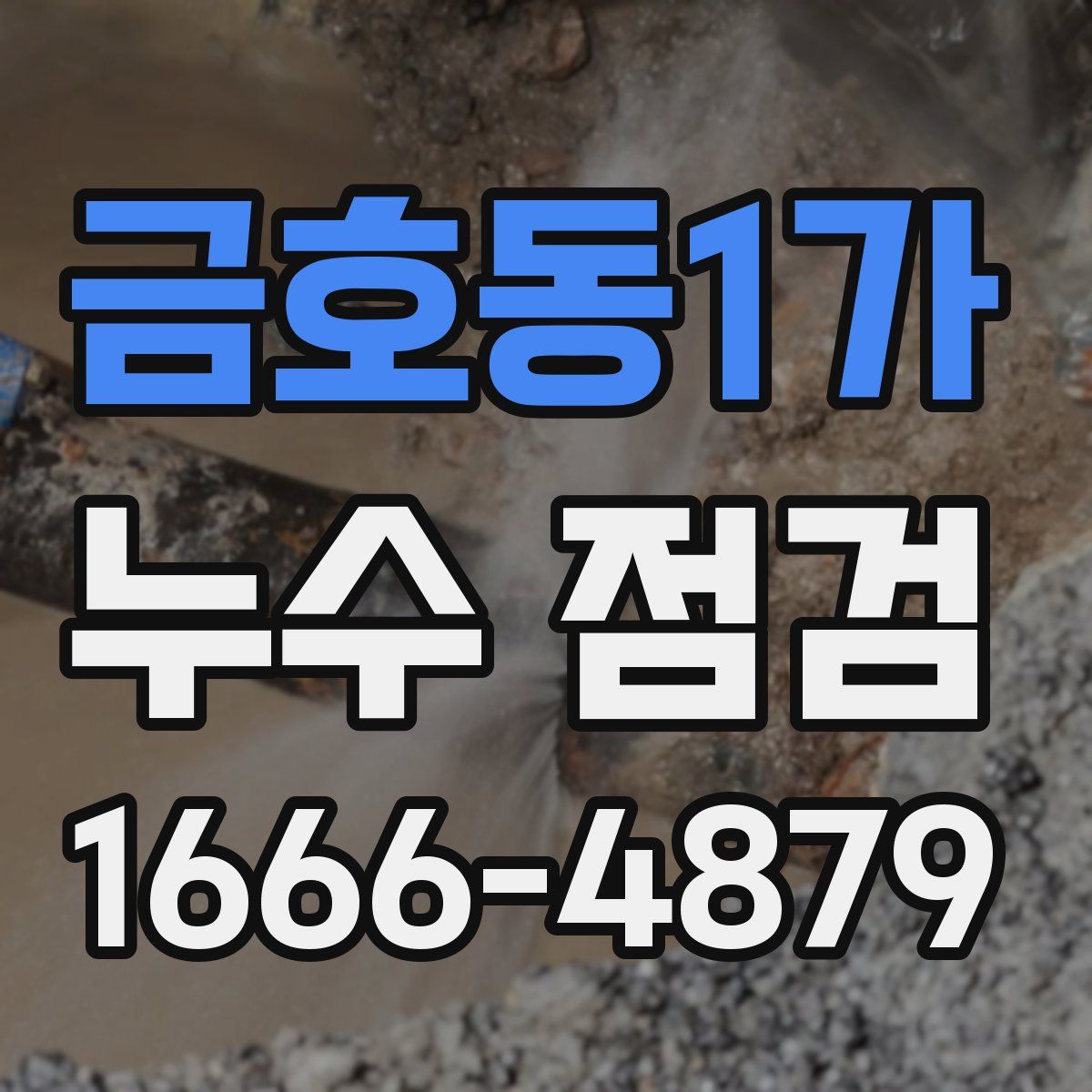 금호동1가 누수 점검