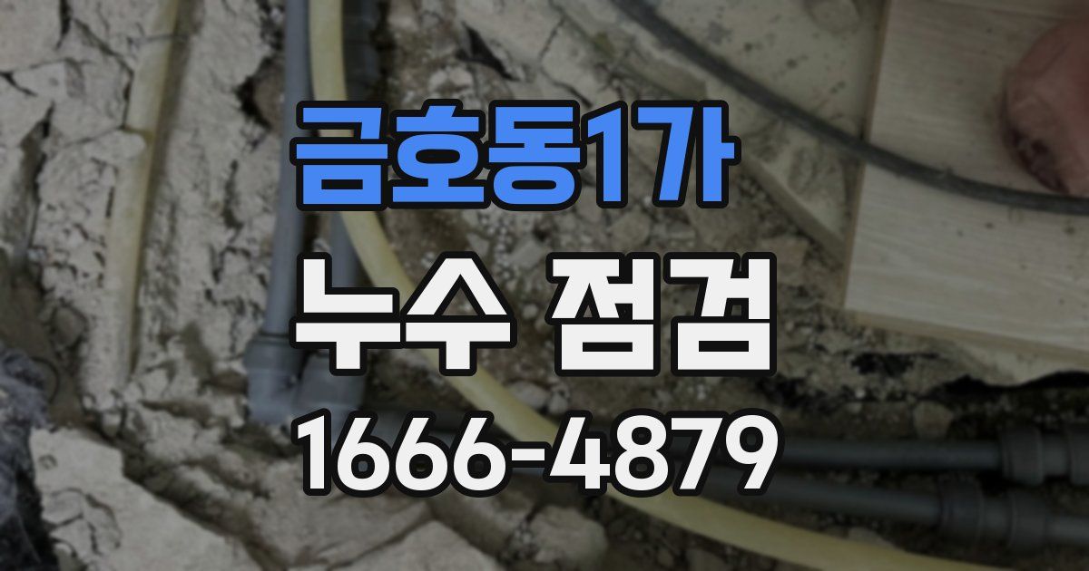 금호동1가 누수 점검