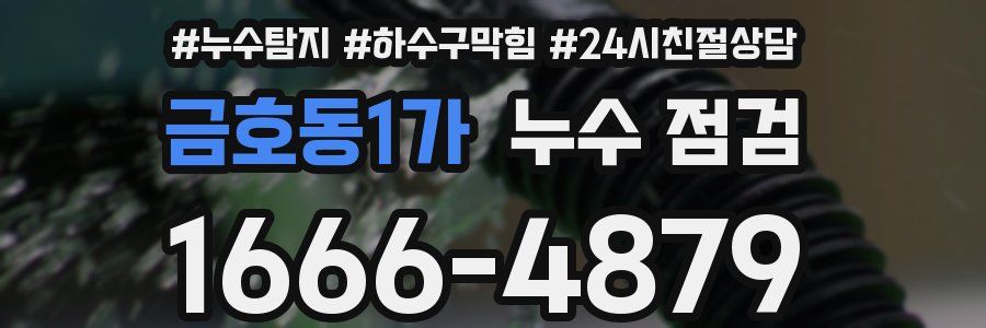 금호동1가 누수 점검