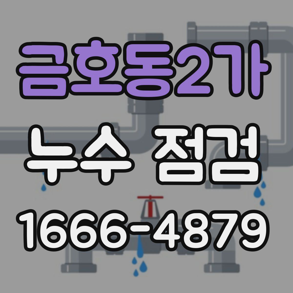 금호동2가 누수 점검