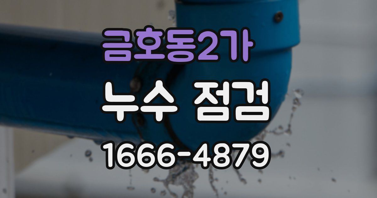 금호동2가 누수 점검