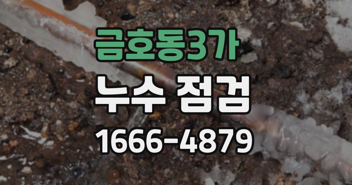금호동3가 누수 점검