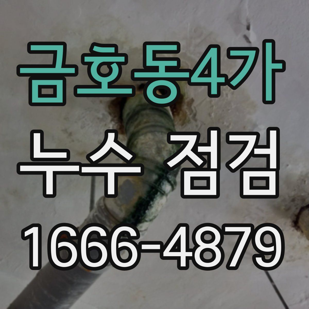 금호동4가 누수 점검