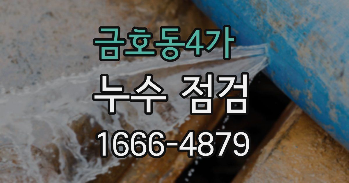 금호동4가 누수 점검