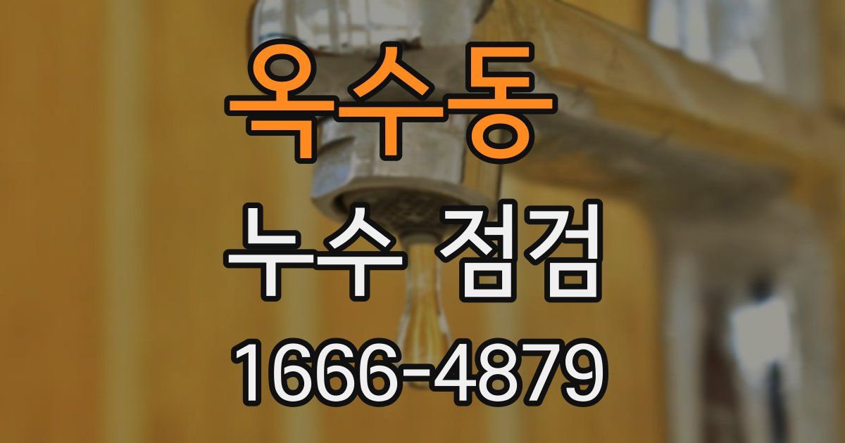 옥수동 누수 점검