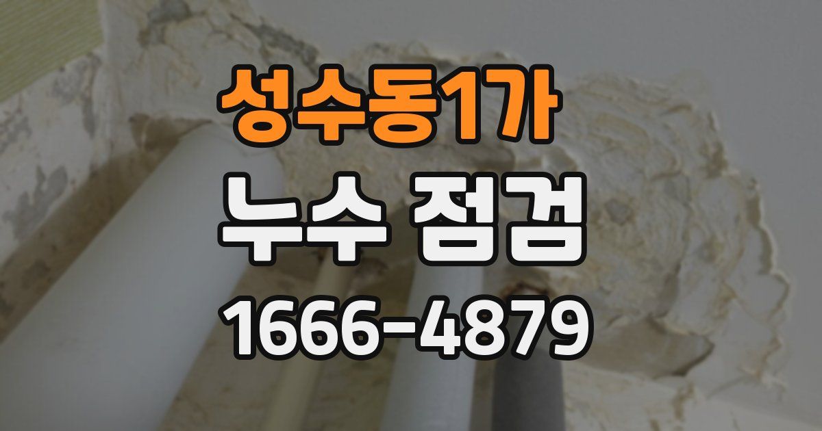 성수동1가 누수 점검