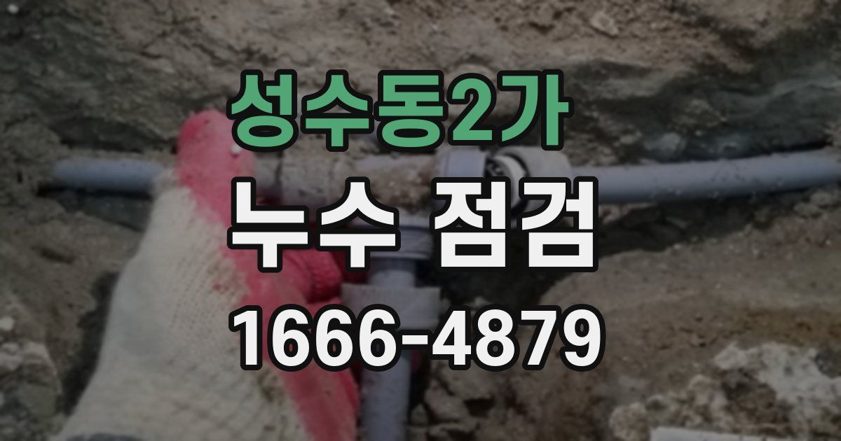 성수동2가 누수 점검