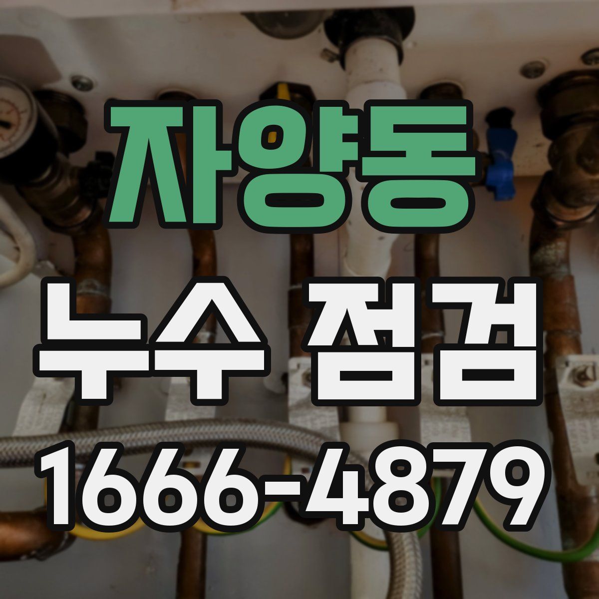 자양동 누수 점검