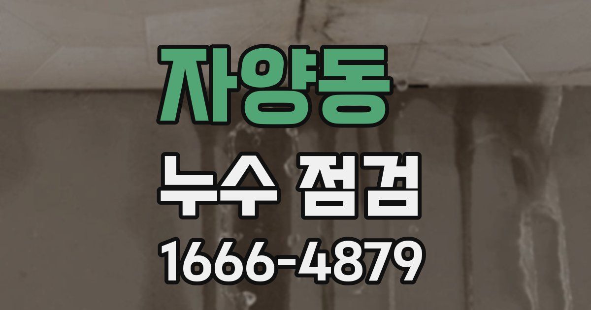 자양동 누수 점검