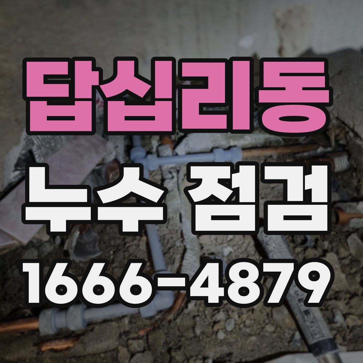 답십리동 누수 점검