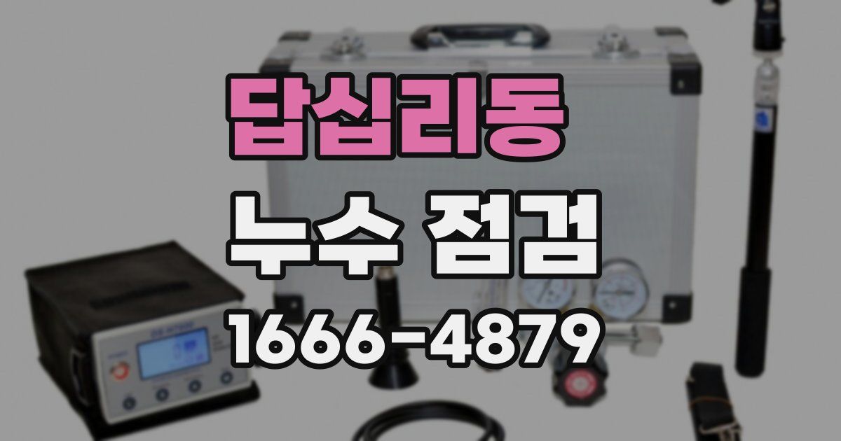답십리동 누수 점검