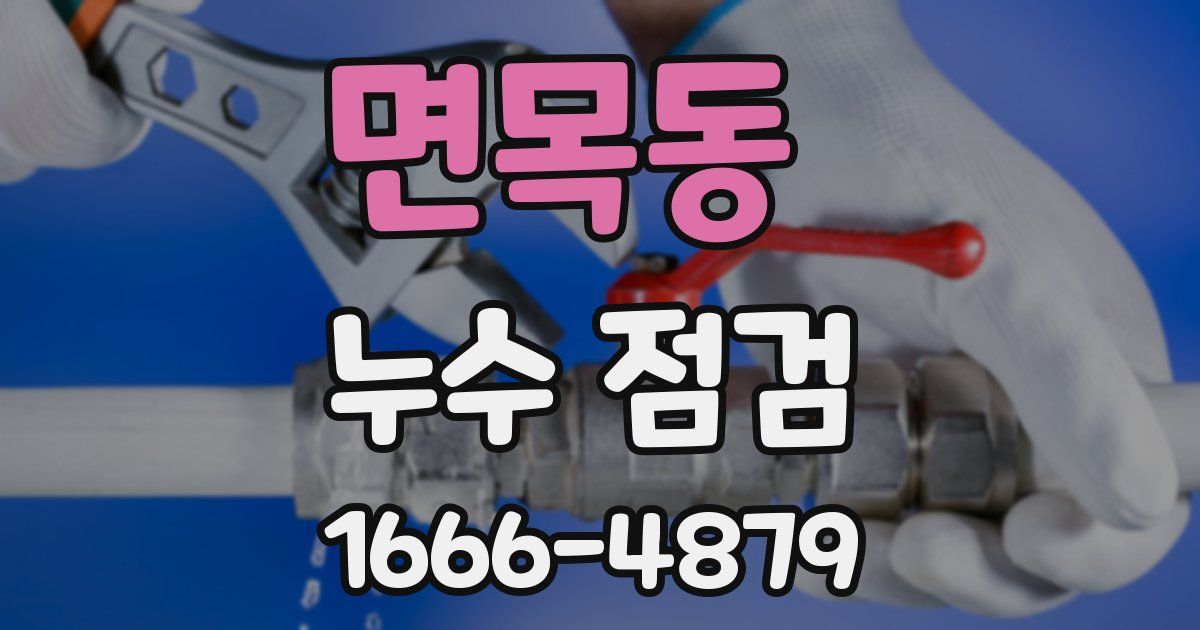 면목동 누수 점검