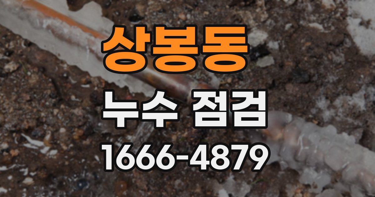 상봉동 누수 점검
