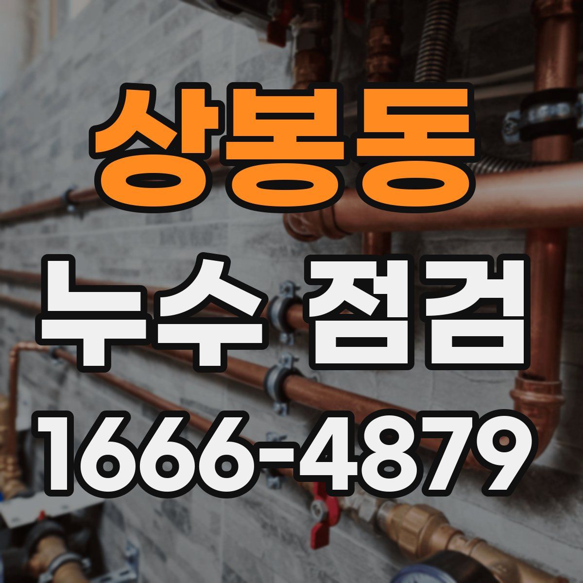 상봉동 누수 점검