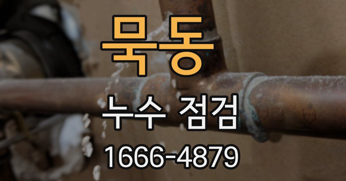묵동 누수 점검