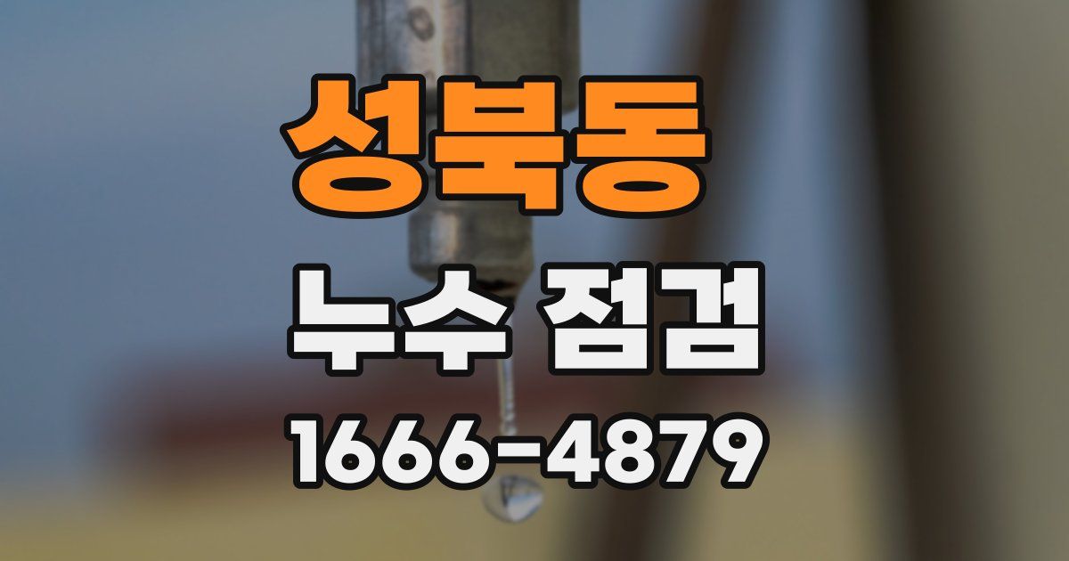 성북동 누수 점검