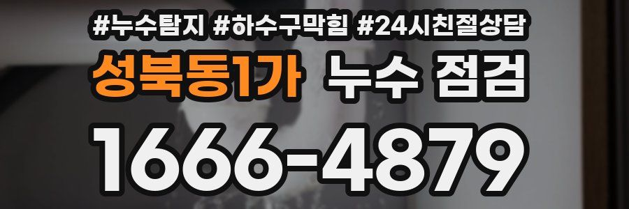 성북동1가 누수 점검