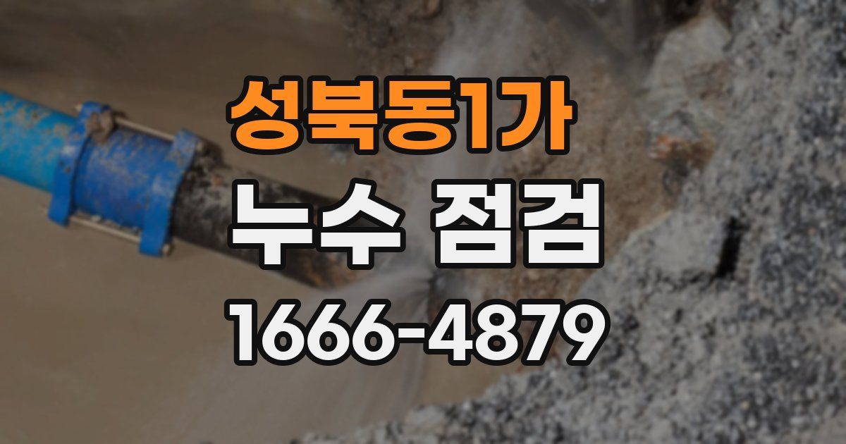 성북동1가 누수 점검