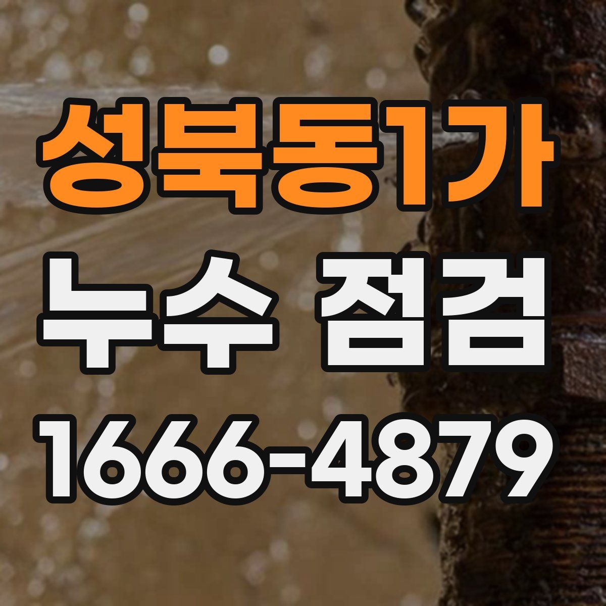 성북동1가 누수 점검