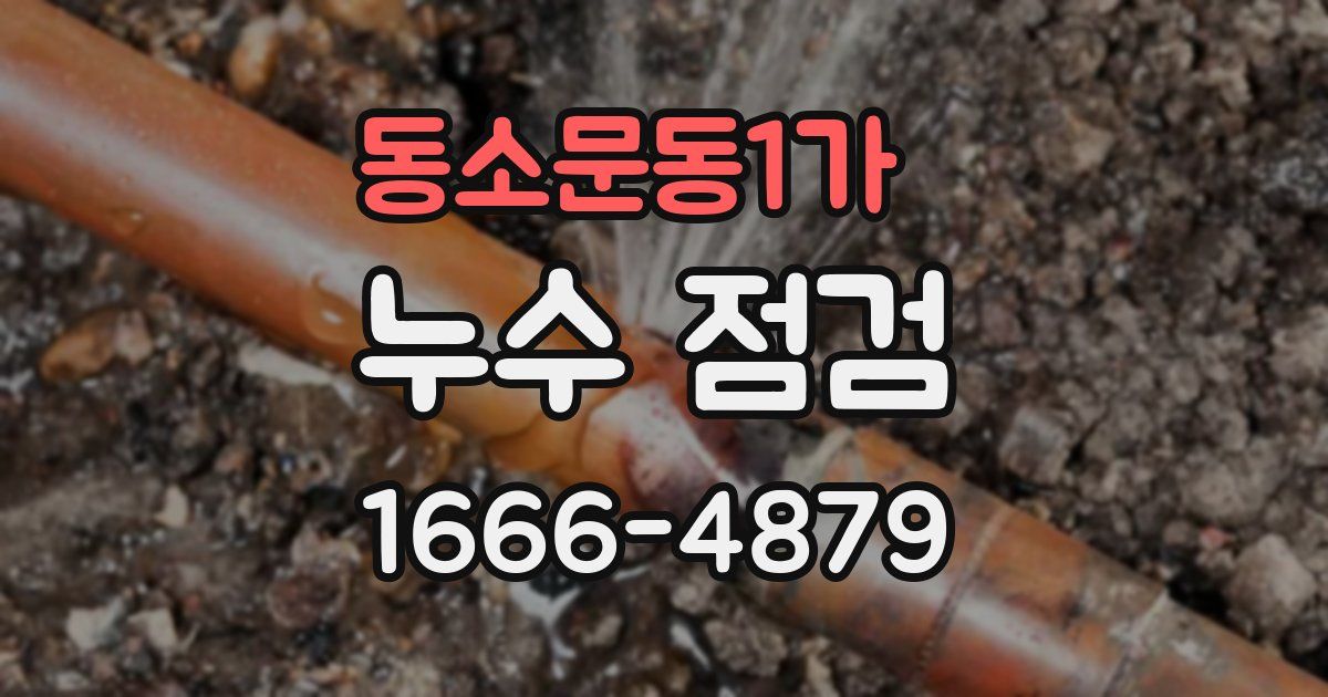 동소문동1가 누수 점검