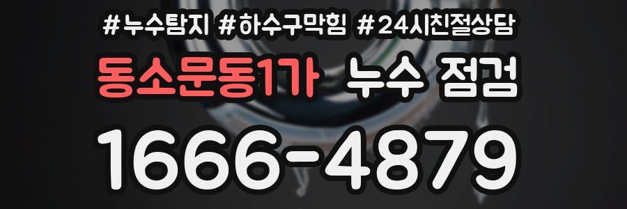 동소문동1가 누수 점검