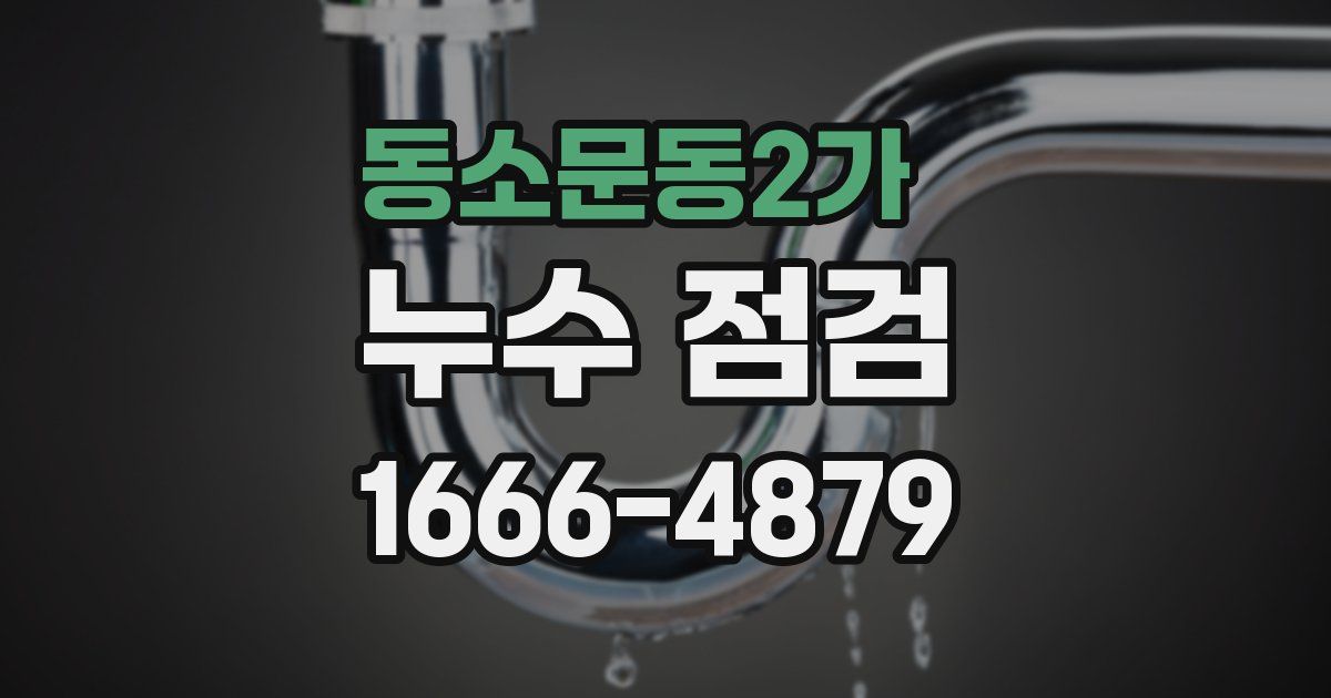 동소문동2가 누수 점검