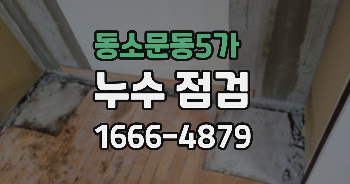 동소문동5가 누수 점검