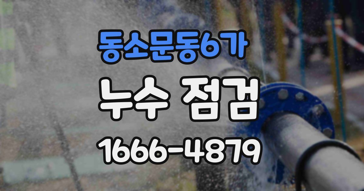 동소문동6가 누수 점검