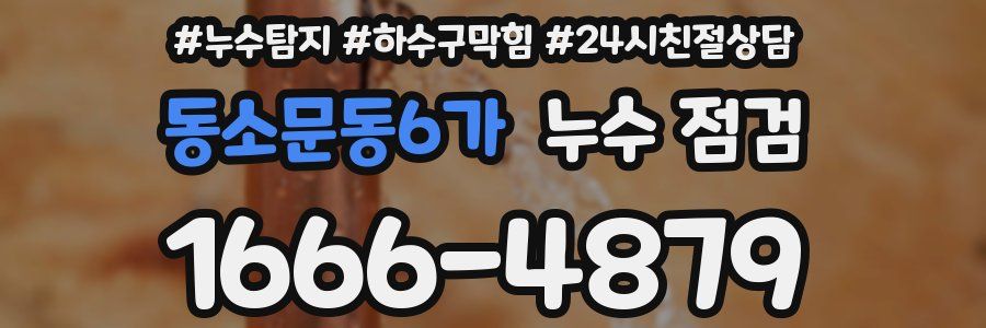 동소문동6가 누수 점검