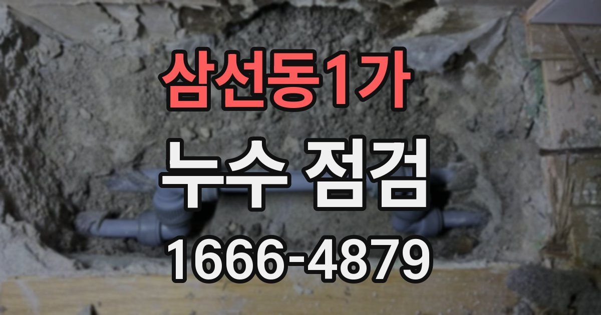 삼선동1가 누수 점검