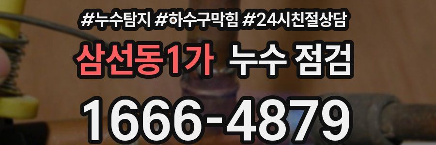 삼선동1가 누수 점검