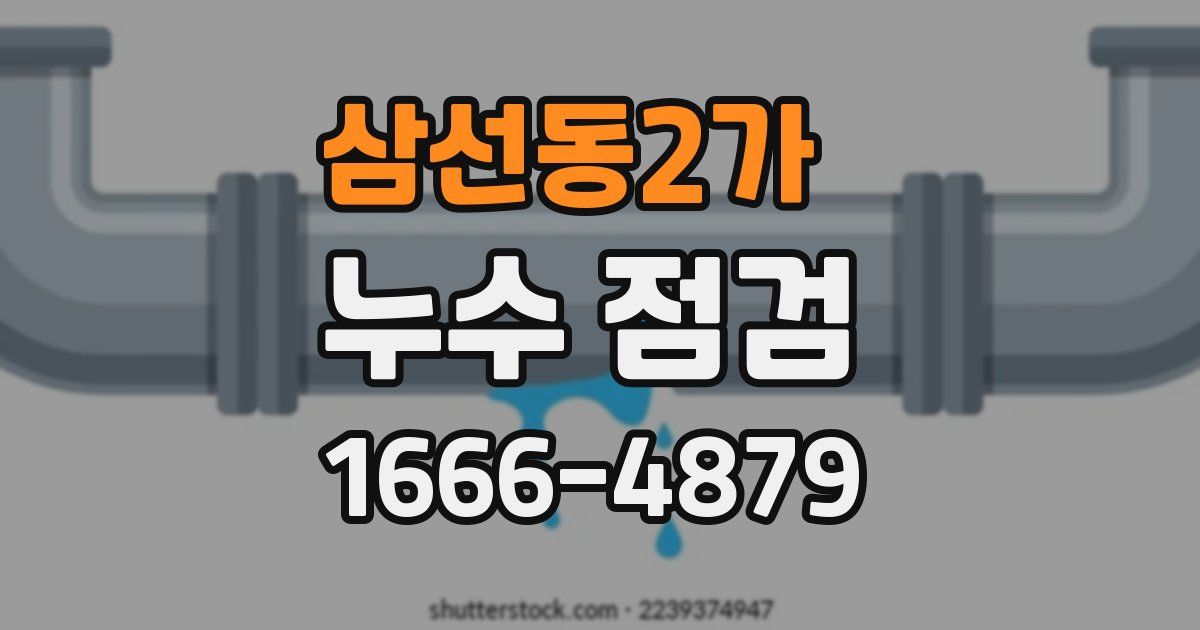 삼선동2가 누수 점검