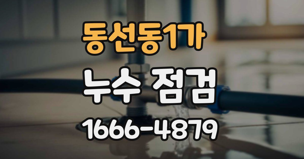 동선동1가 누수 점검