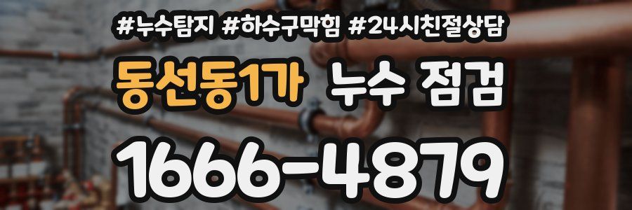 동선동1가 누수 점검