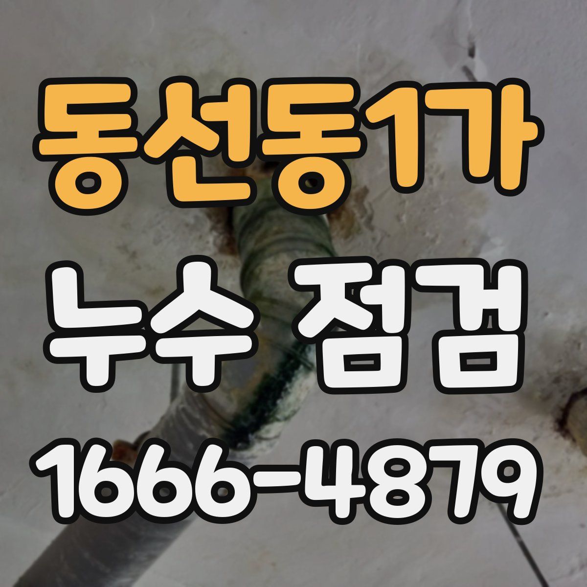 동선동1가 누수 점검