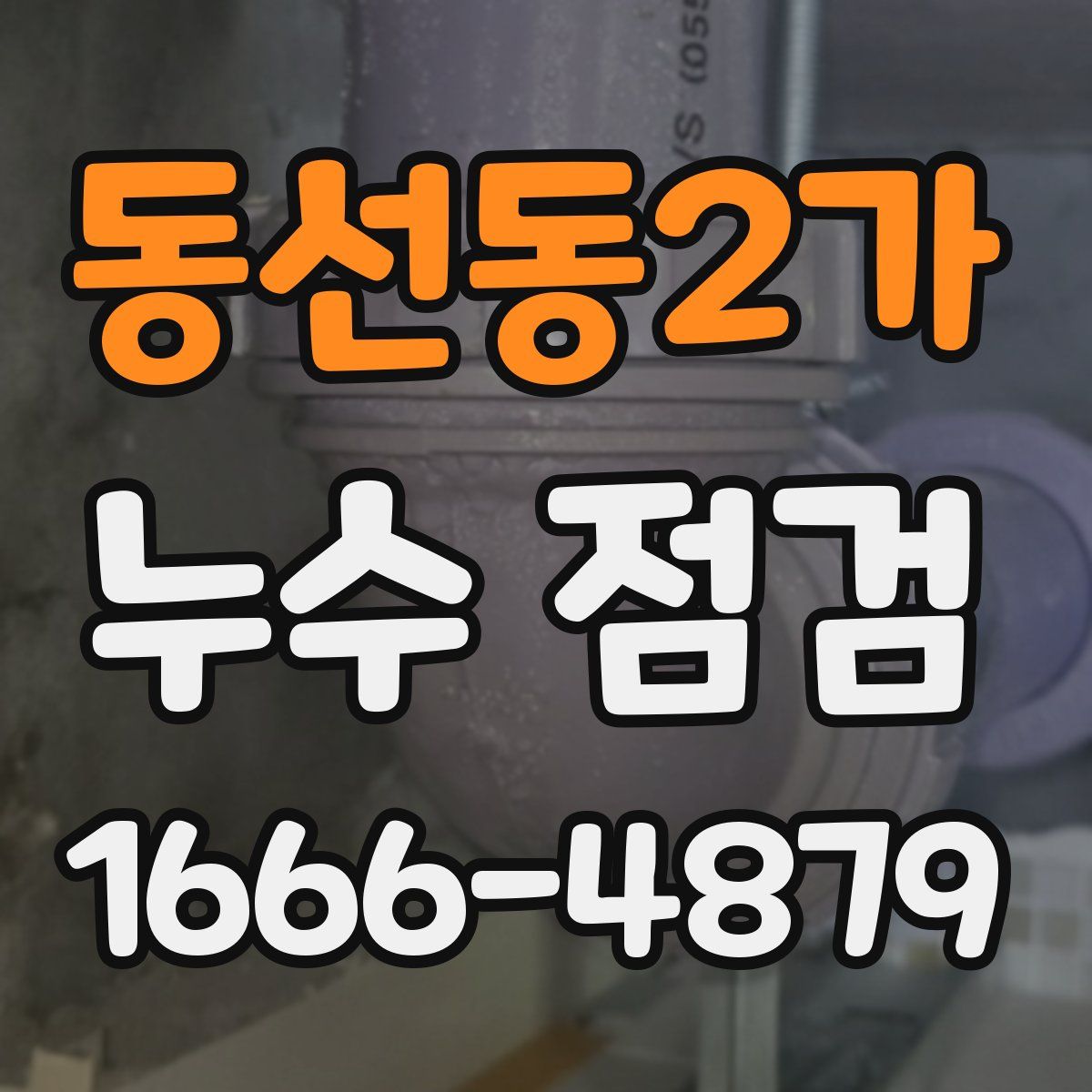 동선동2가 누수 점검