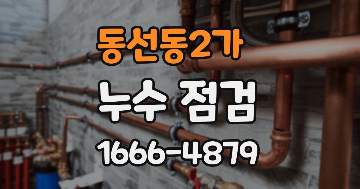 동선동2가 누수 점검