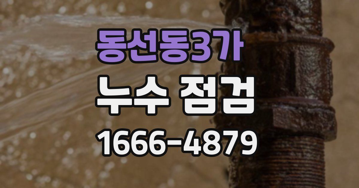 동선동3가 누수 점검