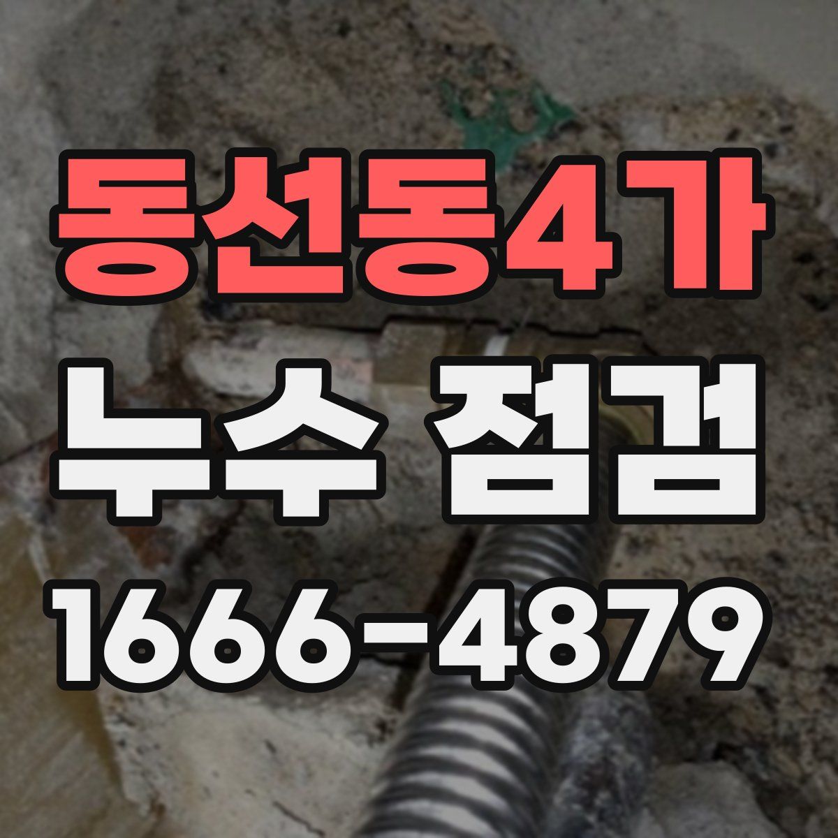 동선동4가 누수 점검