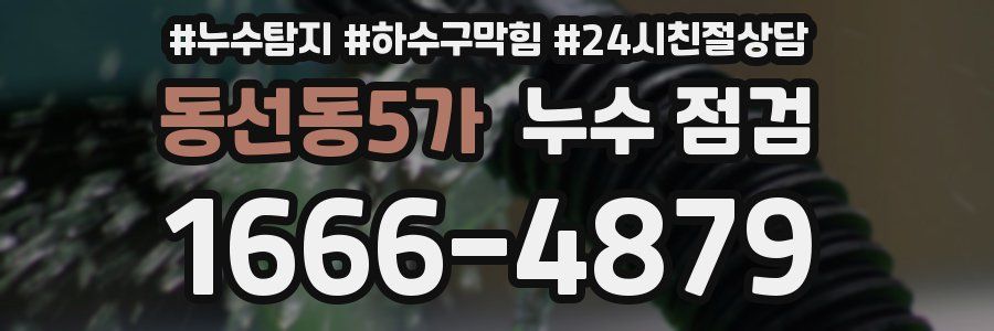 동선동5가 누수 점검