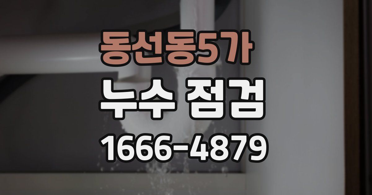 동선동5가 누수 점검