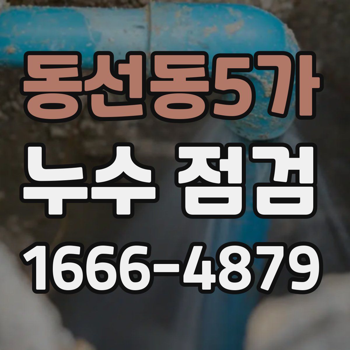 동선동5가 누수 점검