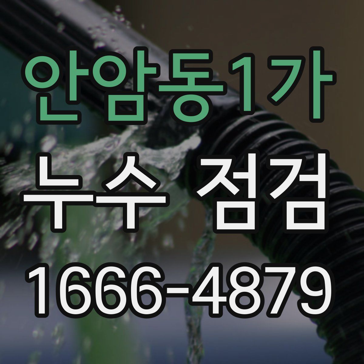 안암동1가 누수 점검