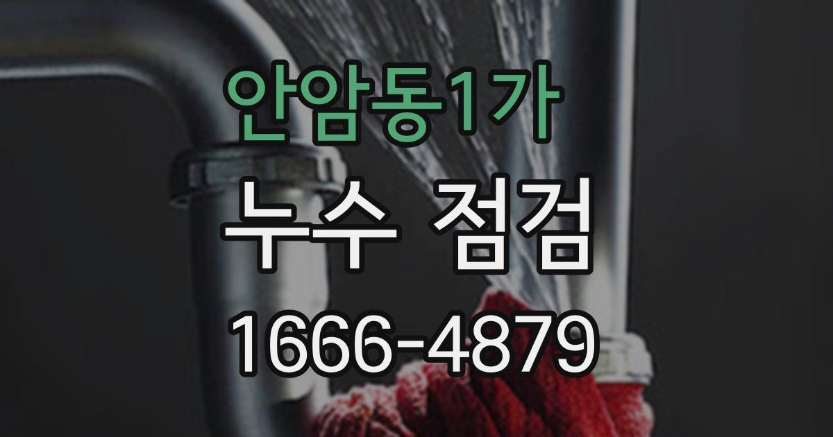 안암동1가 누수 점검
