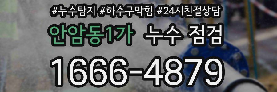안암동1가 누수 점검