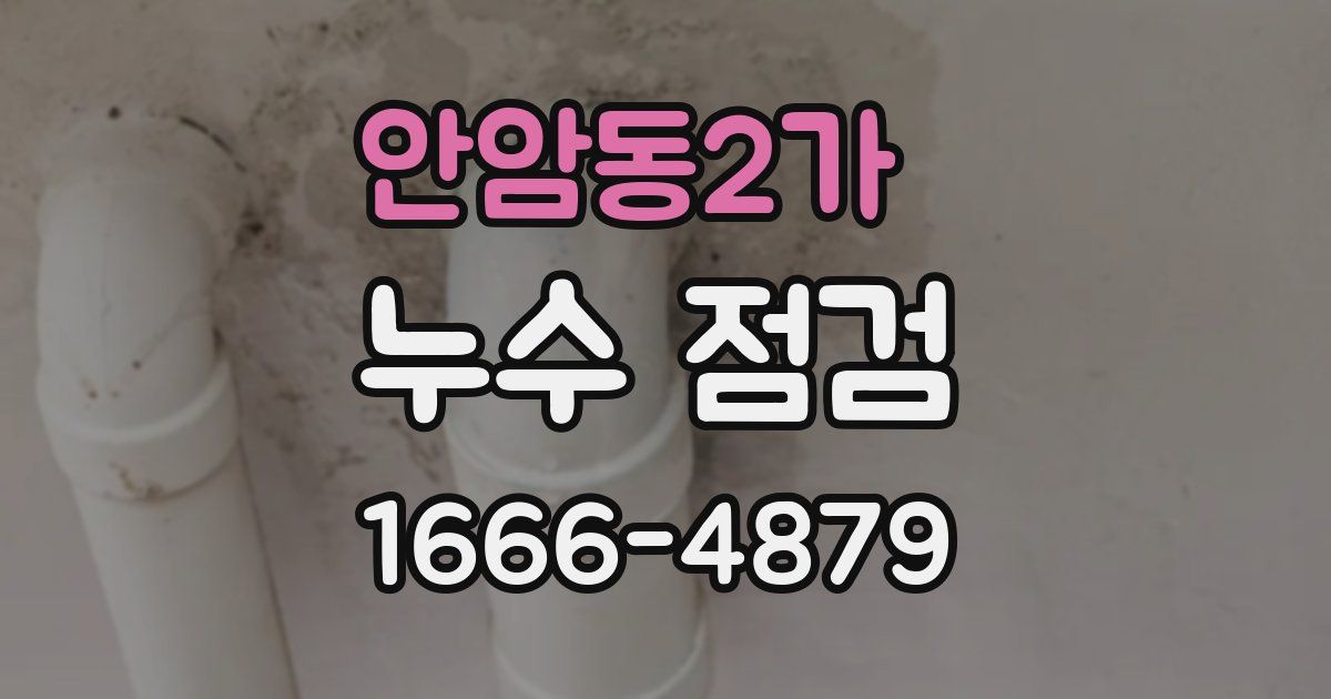 안암동2가 누수 점검